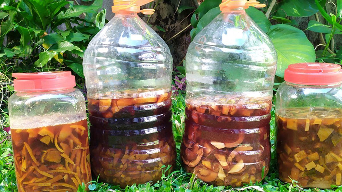 Pembuatan Eco Enzyme